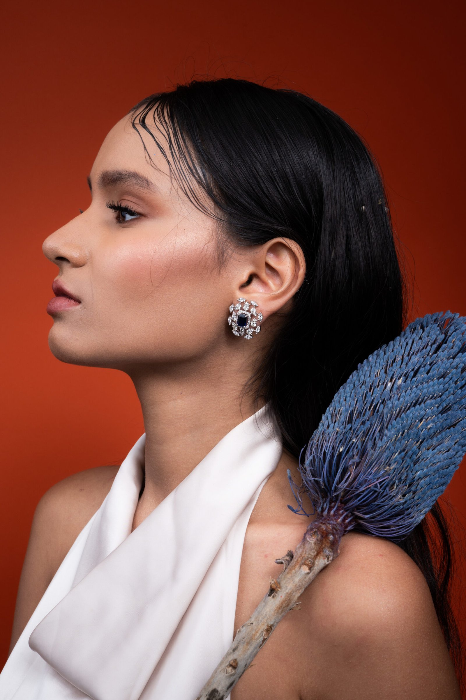 Nomita diamond and sapphire earrings