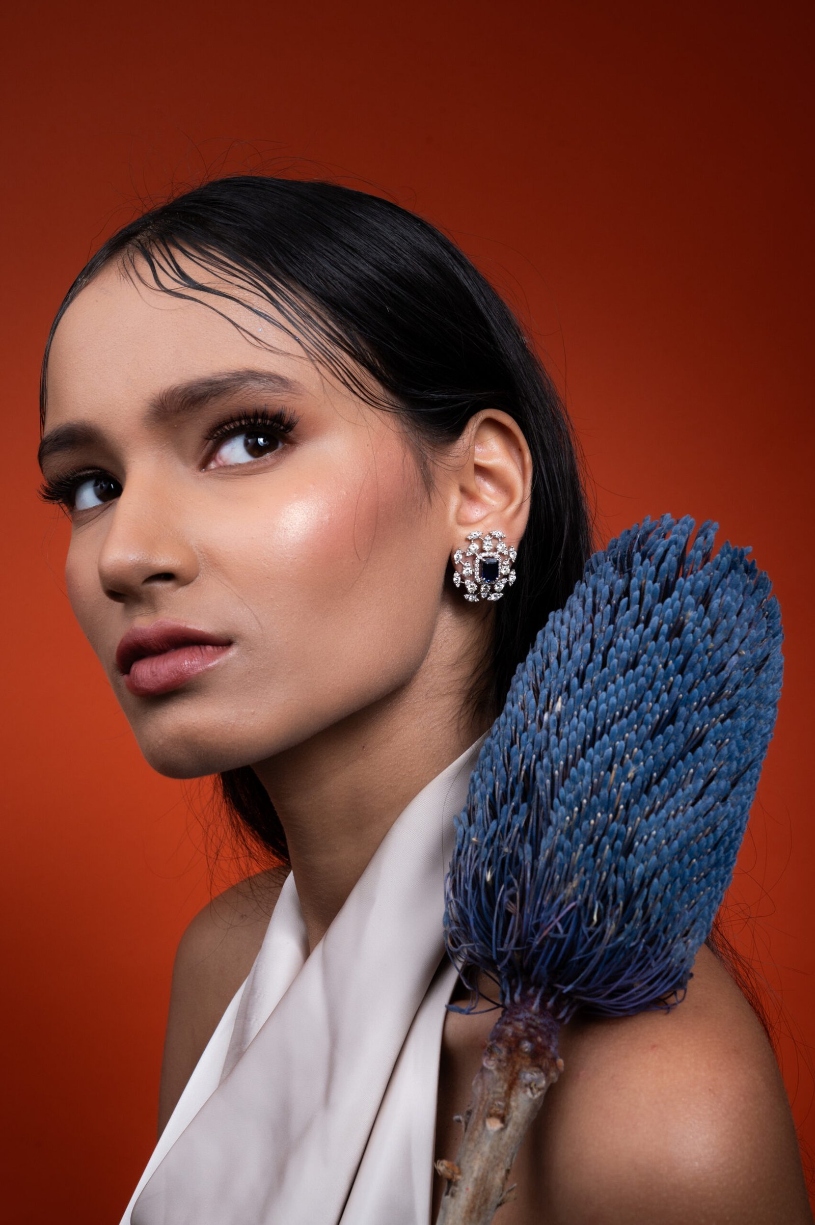 Nomita diamond and sapphire earrings